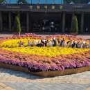 강원도립화목원 이미지