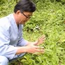 가원펜션 이미지