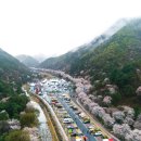 산꽃벚꽃오토캠핑장 이미지