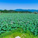 유등연지입구 이미지