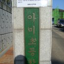 아미초등학교 - 서구 | 아미초등학교