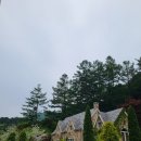 보동 목장 | 가평아이랑여행:아침고요수목원 봄꽃페스타(튤립, 유모차)