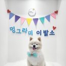 멍그라미 이미지