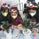 생활원예 야간 이미지