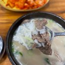 푸주옥 | 홍대 설렁탕 맛집 녹진한 국물이 일품인 푸주옥 저녁 후기