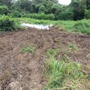 산들농장2 이미지