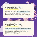 봉산문화회관 가온홀 이미지