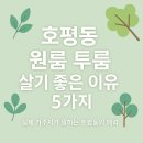 평내호평진 공인중개사사무소 | 호평동 원룸·투룸, 직접 살아본 사람처럼 느껴본다면 이런 매력이 있어요!