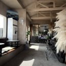 산호쉼터 | 제주 우도 당일치기 여행 코스 맛집 추천 (이렇게만 하세요!)