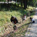 도토리 강아지 유치원 이미지