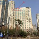 판교동 소로3 네이버블로그