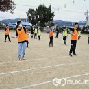 황새말 이미지