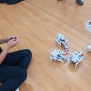 보길동초등학교 이미지