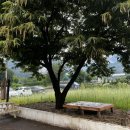 가평루이네민박 이미지