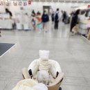 멍이맘&대디 이미지