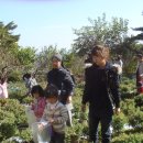 평리유치원 이미지