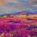 꽃이있는풍경 이미지