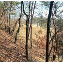 인성군묘 이미지