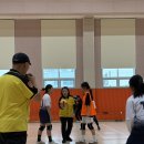 2025 2학기 여주학교스포츠클럽 피구대회-초등부 이미지