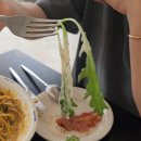 중앙로가로수 | 부산 송정해수욕장브런치 맛집 저스트칠링 JUST CHILLING 후기 및 주차정보