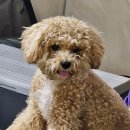 완산수영장 화장실 | 전주 캠핑장 야외 공간 대여 수영장 점점더 후기