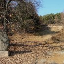 장포 김행 묘역 이미지