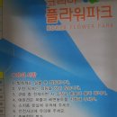 레이크파크 | 안면도 꽃지해수욕장 빛축제 개장.코리아 풀라워 파크에서