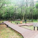 에코야영장 이미지