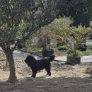 진주수진정원 이미지