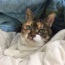 한마음동물병원 이미지