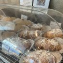 마리스텔라 이미지