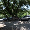 수덕고개식당 이미지