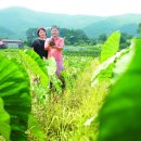 일등농장 이미지