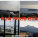 서호초교 이미지