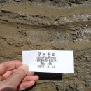 현대농장 이미지