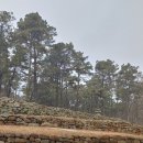 장정리 마을 입구 이미지