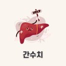 간수치 높은 사람, 대사증후군 걸릴 확률 높다!! 이미지
