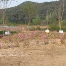 동면 게이트볼장 이미지