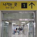 월미농장 | 인천 모노레일 월미바다열차 탑승 후기