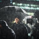 최신영화 자백 | [영화] ❝설계자❞ 줄거리 결말 명대사 보러가기 ott