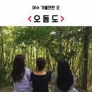 오동동193 | 여수 오동도 (동백열차 운영시간)