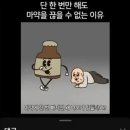 단 한 번만 해도 마약을 끊을 수 없는 이유 이미지