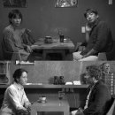 풀잎 티브이데일리