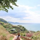 남해나들이 마음쉼터 | 3월 국내여행지 추천 봄꽃 여행 코스 BEST3 경주 남해 강릉