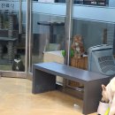 양·한방 전문 힘찬동물병원 | 🐾 사랑하는 반려동물을 위한 최적의 선택! 사라양한방동물병원 🐾