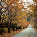 장곡펜션 이미지