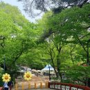 해인사성보박물관 | 대구근교갈만한곳 합천해인사 해인사팔만대장경판 해인사주차