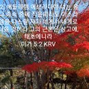 #미가