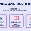 엠에스지 이미지