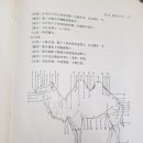 북경백침당한의원 이미지